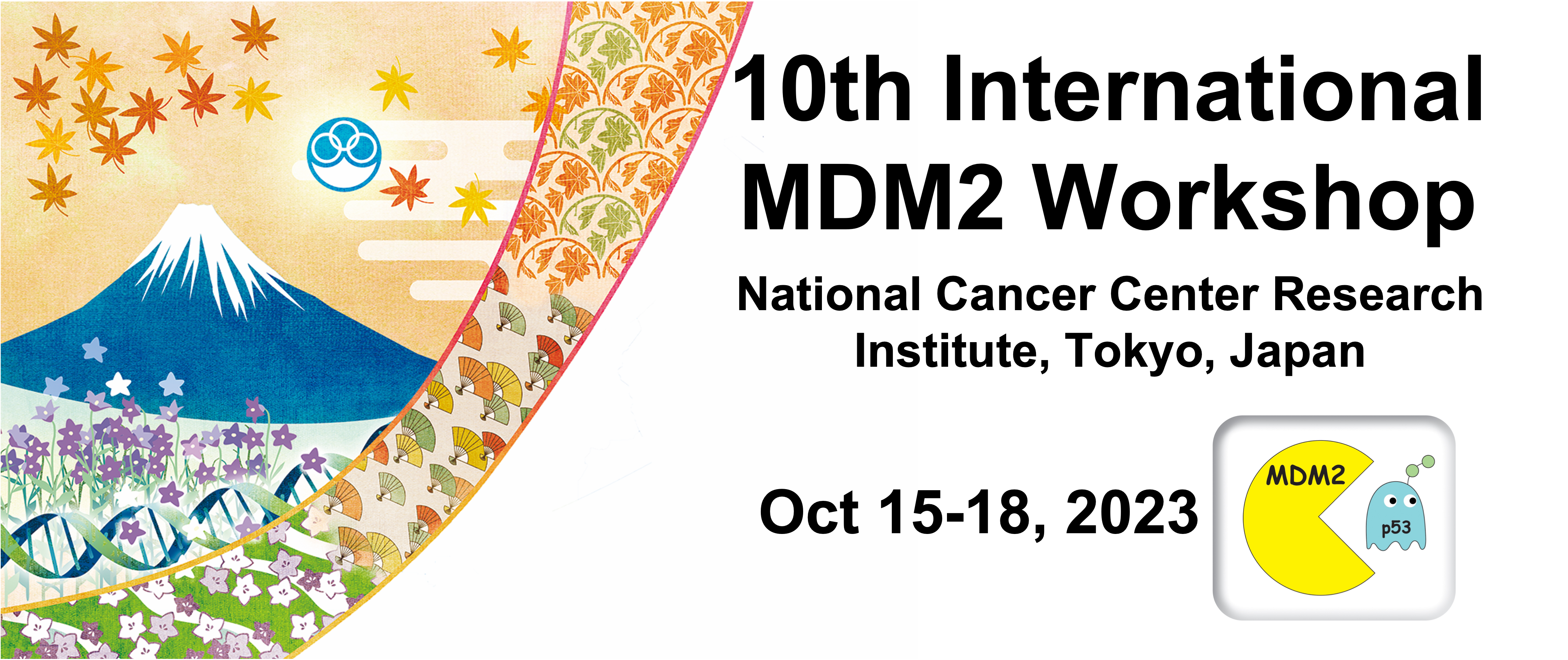 the 10th International MDM2 Workshop